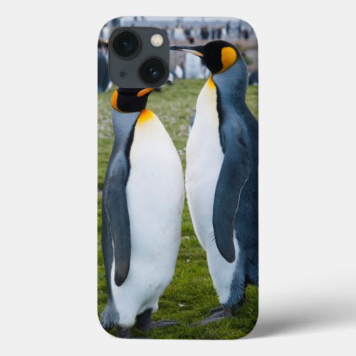 South Georgia Salisbury Plain King penguins 2 iPhone 13 Case