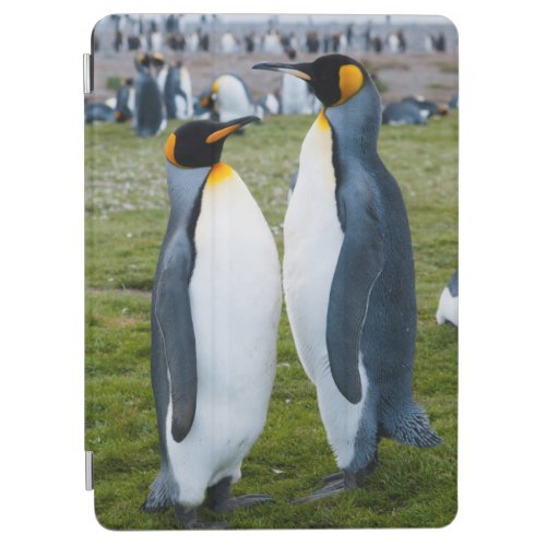 South Georgia Salisbury Plain King penguins 2 iPad Air Cover