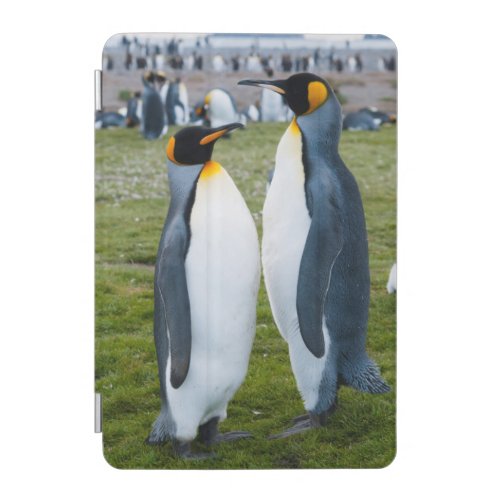 South Georgia Salisbury Plain King penguins 2 iPad Mini Cover