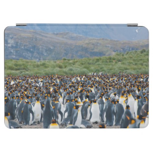 South Georgia Salisbury Plain King penguins 3 iPad Air Cover
