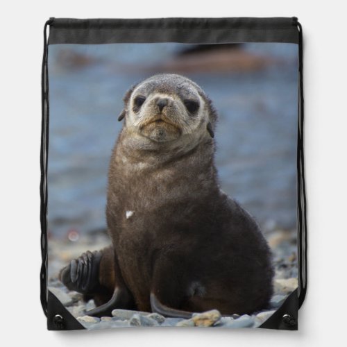 South Georgia Stromness Antarctic fur seal 2 Drawstring Bag