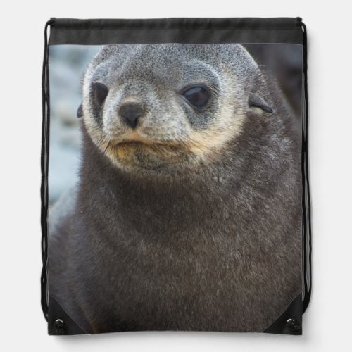 South Georgia Stromness Antarctic fur seal 3 Drawstring Bag