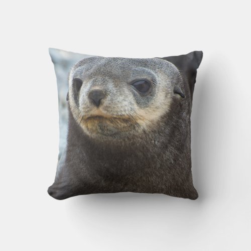South Georgia Stromness Antarctic fur seal 3 Throw Pillow