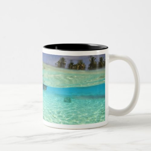 South Huvadhoo Atoll Southern Maldives Indian Two_Tone Coffee Mug