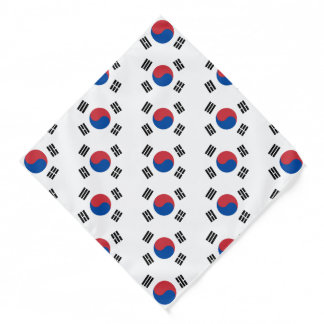 South Korea Flag Bandana