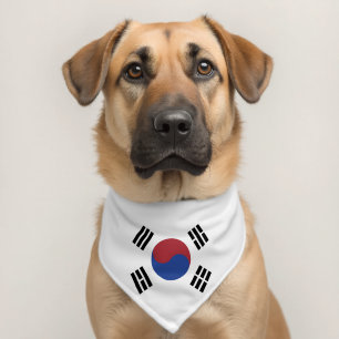 South Korea flag Pet Bandana Collar