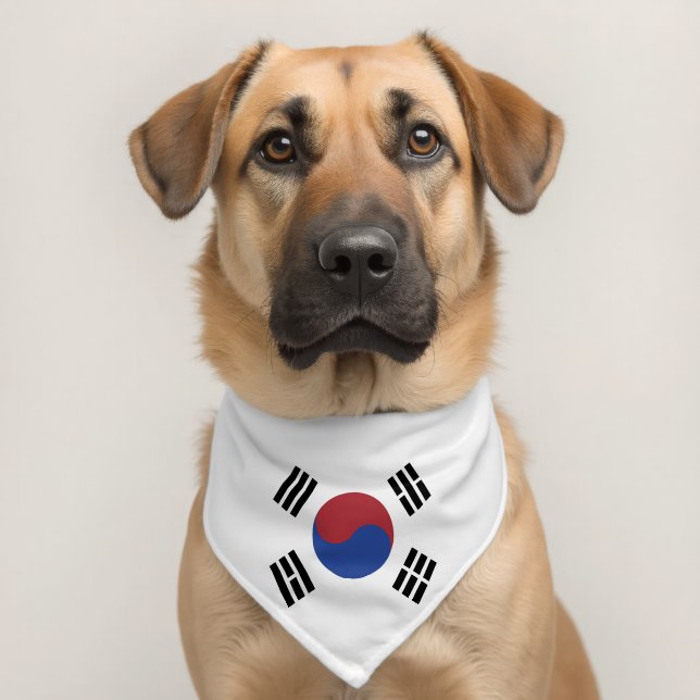 South Korea flag Pet Bandana Collar (Dog 2)