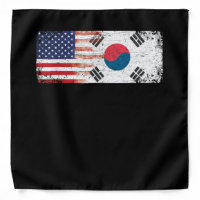 South Korean American Flag