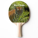 South Korean Tiger Ping-Pong Paddle