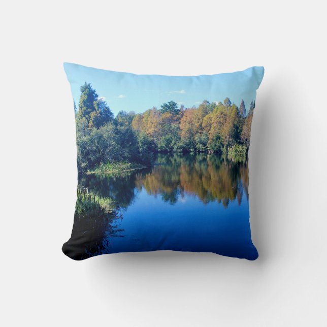 South Lake Howard Throw Pillow (Front)