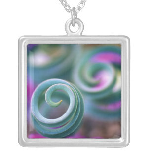 South Namaqualand, Curled lily leaves. Credit Silver Plated Necklace