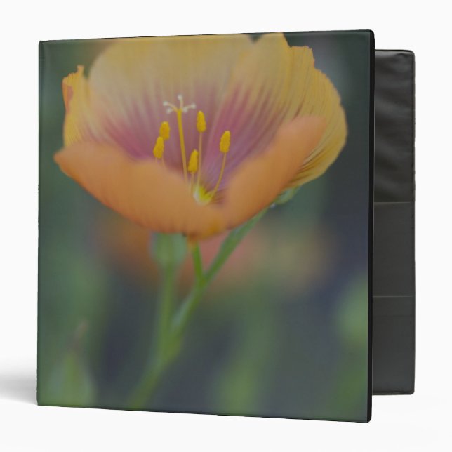 South of Devine Texas along Interstate 35 Binder (Front/Inside)