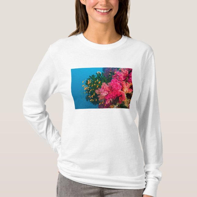 South Pacific, Fiji, Viti Levu, Bligh Water, T-Shirt (Front)