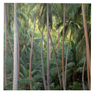 South Pacific, French Polynesia, Bora Bora. Ceramic Tile