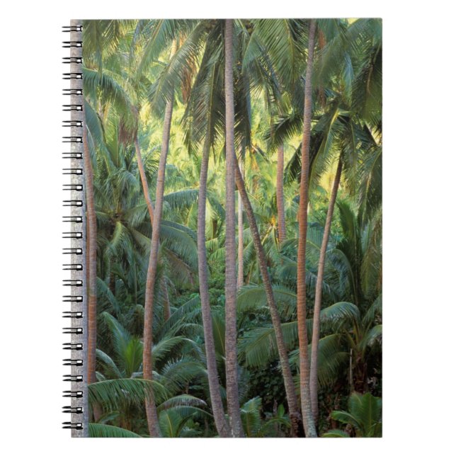South Pacific, French Polynesia, Bora Bora. Notebook (Front)