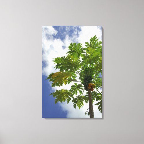 South Pacific French Polynesia Moorea 2 Canvas Print