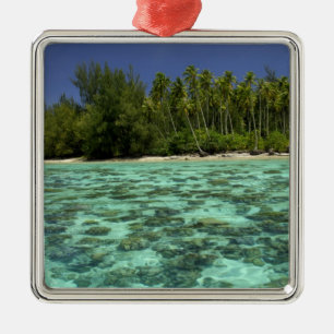 South Pacific, French Polynesia, Moorea 3 Metal Ornament