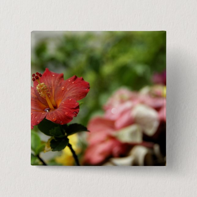 South Pacific, French Polynesia, Society 2 Button (Front)