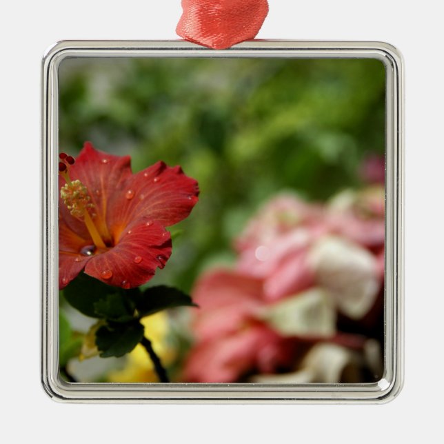 South Pacific, French Polynesia, Society 2 Metal Ornament (Front)