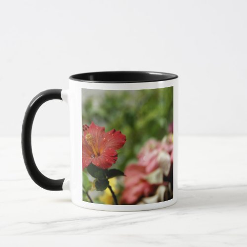 South Pacific French Polynesia Society 2 Mug