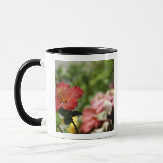 South Pacific, French Polynesia, Society 2 Mug (Left)