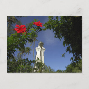 South Pacific, French Polynesia,Tahiti. Hibiscus 3 Postcard