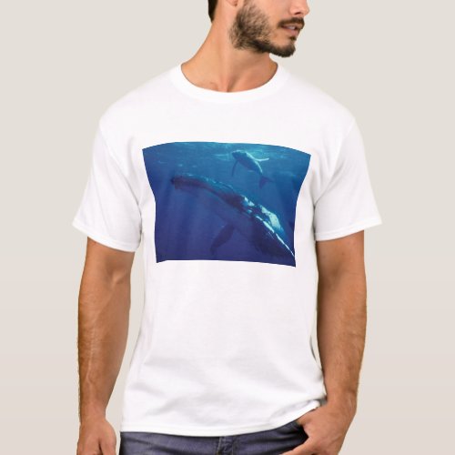 South Pacific Tonga humpback whale and calf T_Shirt