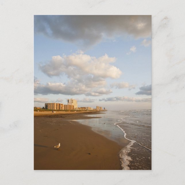 South Padre Island, Texas, USA resort hotels, Postcard (Front)