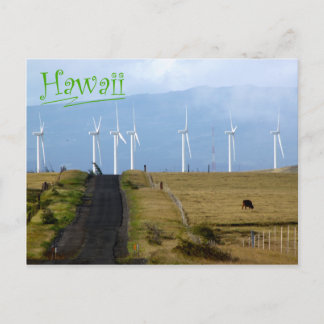 South Point, Hawaii Postcard