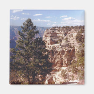 South Rim Grand Canyon Arizona Photo Designed Magnet
