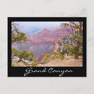 South Rim Grand Canyon Postcard