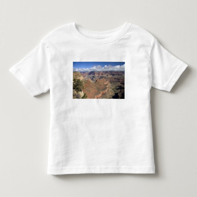 South Rim view of the Grand Canyon, Arizona, Toddler T-shirt (Front)