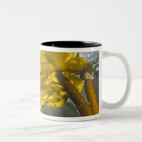 South side of Ewing Island San Juan Islands Two_Tone Coffee Mug