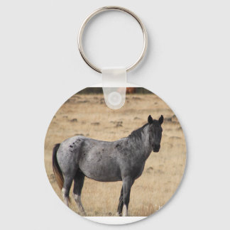 South Steens horses Keychain