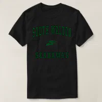 : South Walton High School Seahawks Pullover Hoodie : Clothing,  Shoes & Jewelry