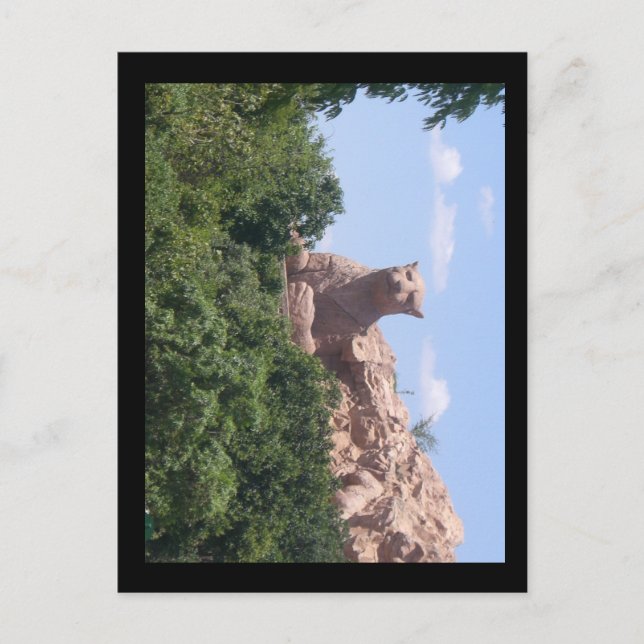 southafrica postcard (Front)