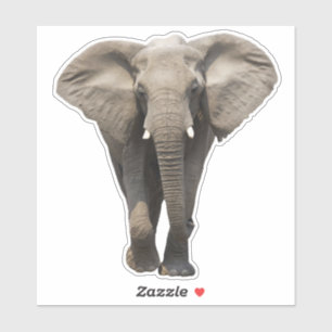 Southeast Asia Elephant Sticker