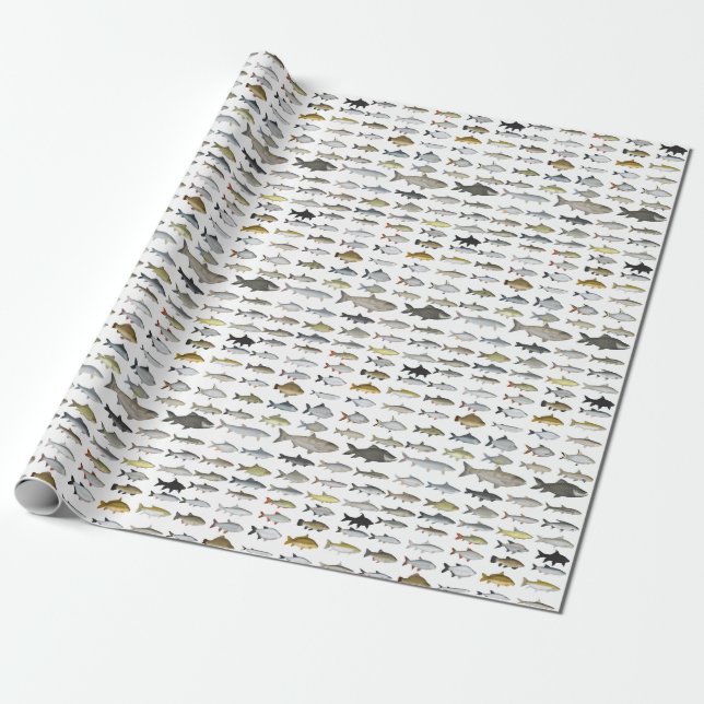 Southeast Freshwater Fish Group Wrapping Paper (Unrolled)