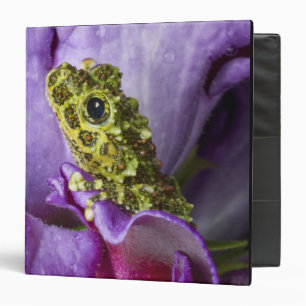 Southeast Vietnam. Close-up of mossy tree frog 3 Ring Binder