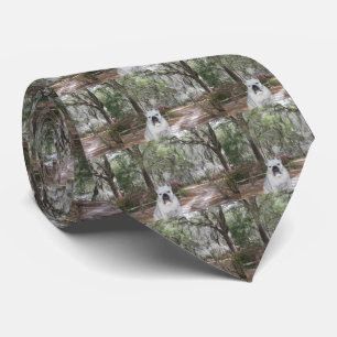 Southern Belle Neck Tie