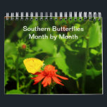 Southern Butterflies Month-By-Month 2023 Calendar<br><div class="desc">Follow butterflies of the Southern U. S. as they emerge each month and learn about them.</div>