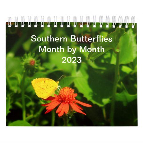 Southern Butterflies Month_By_Month 2023 Calendar