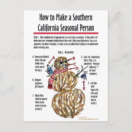 Southern California Seasonal Person Postcard