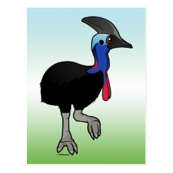 Southern Cassowary Postcard