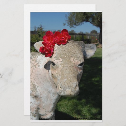 Southern Cow (Front/Back)