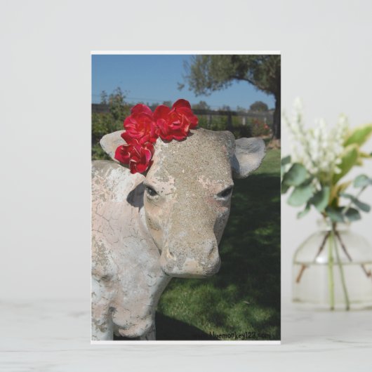 Southern Cow (Standing Front)