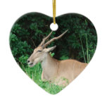 Southern Eland Habitat  Ornaments
