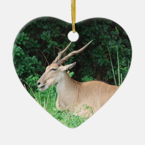 Southern Eland Habitat  Ornaments