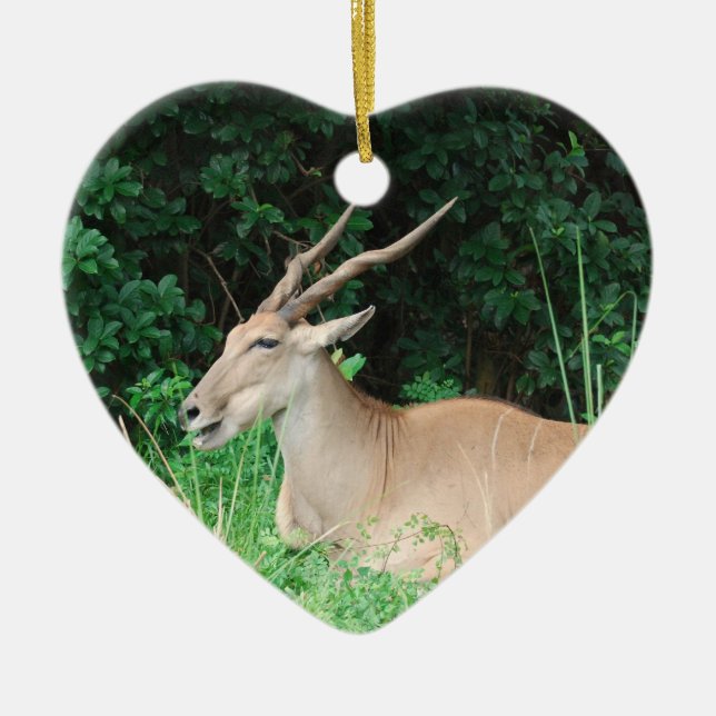 Southern Eland Habitat  Ornaments (Front)