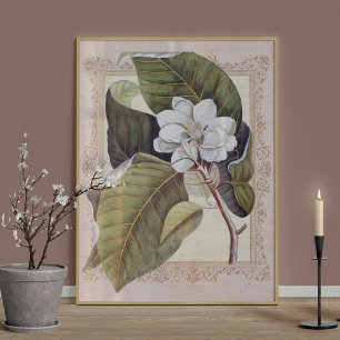 Southern Elegance Vintage Botanical Magnolia Poster